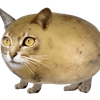 Fascismo Felino