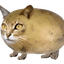 Fascismo Felino